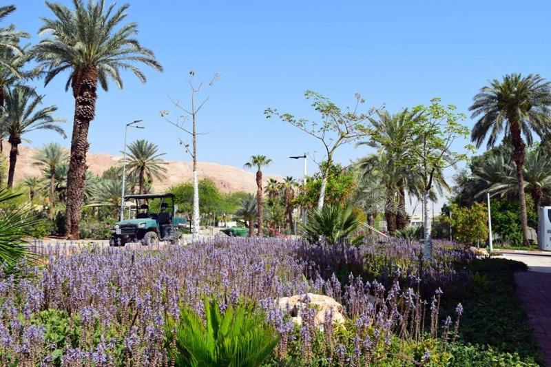Hotel כפר נופש קלי"ה ים המלח Kalia Exterior foto